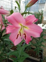 [5647 VH77 Garceta No02.JPG]